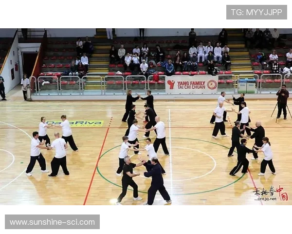 对话杨军：回顾排球生涯的辉煌与挑战与未来展望