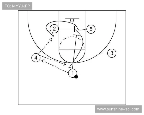 深入分析杭州篮球队的整体压制战术及其在比赛中的应用效果